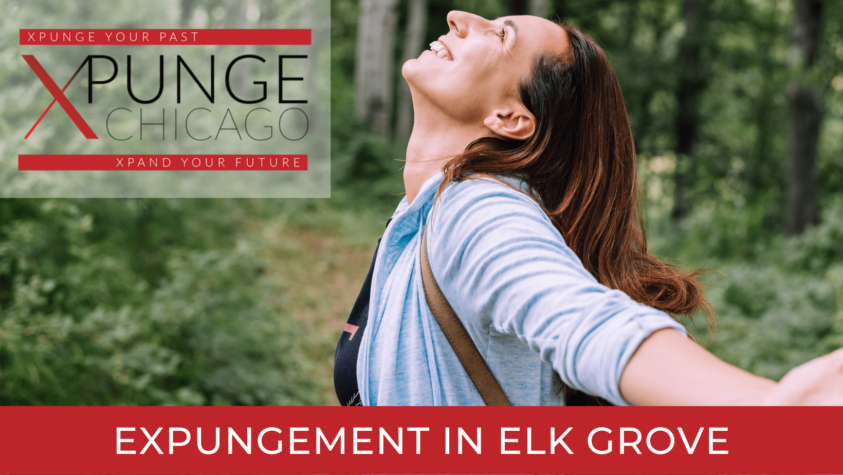 Areas Served 11 Expungement in Elk Grove IL