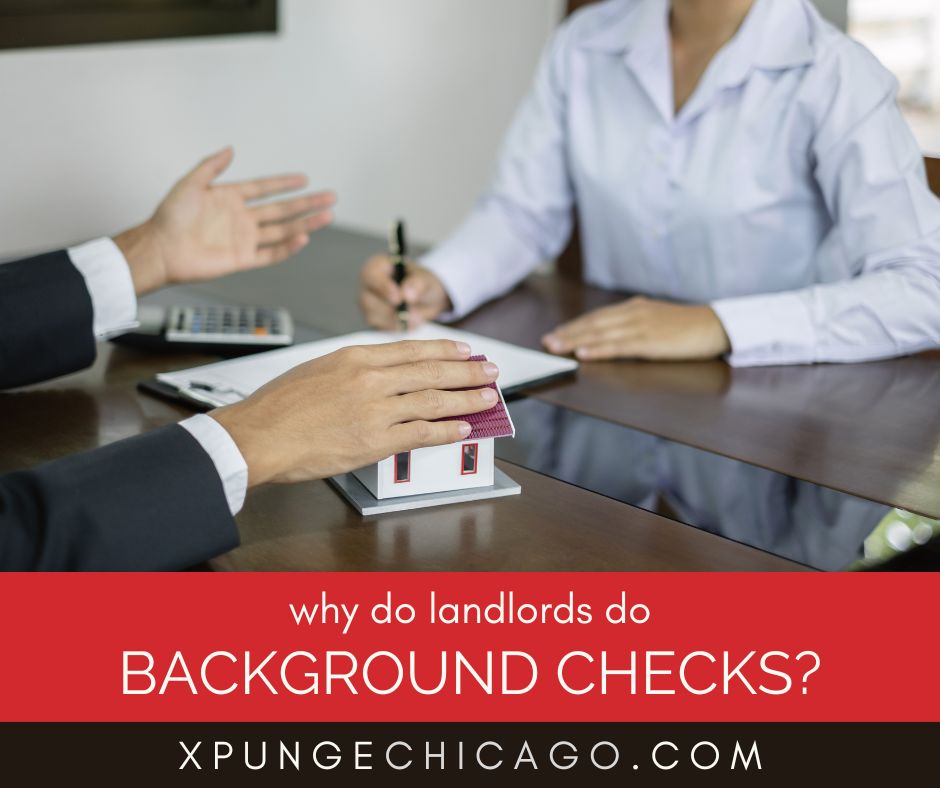 What Do Landlords Look For In Criminal Background Checks