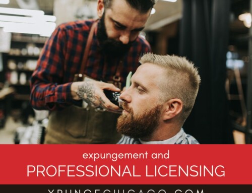 Expungement and Professional Licensing: What About Real Estate Agents, Accountants, or Barbers?